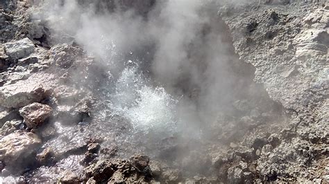 codini.rgarabwor.edu.pl. 