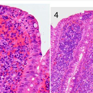 codini.rgarabwor.edu.pl. 