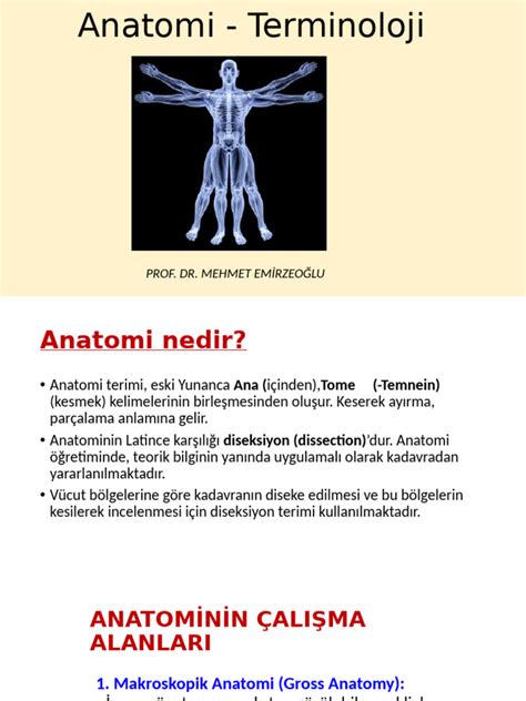 codini.rgarabwor.edu.pl. 