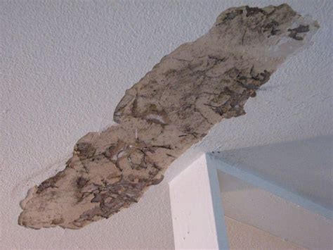 Termite Drywall Damage - YouTube