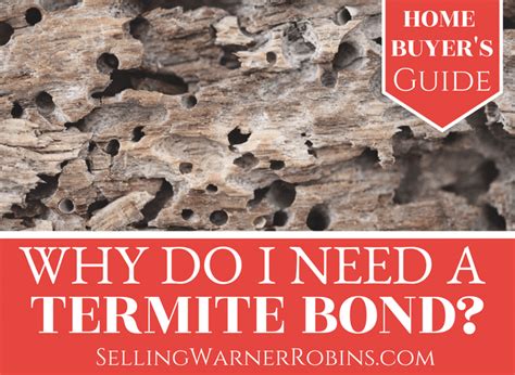 Termite bond. A termite bond is a contract or agreement between a homeowner and a pest control company. The basis of this bond ensures inspectors will inspect and treat your home for any termite activity. Think of termite bonds as insurance against termites, because homeowners insurance policies do not cover termite damage. 