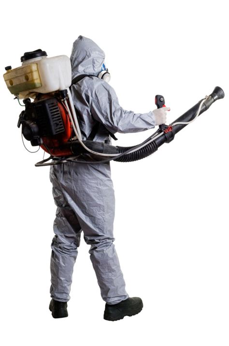 Termite fumigation cost. Things To Know About Termite fumigation cost. 
