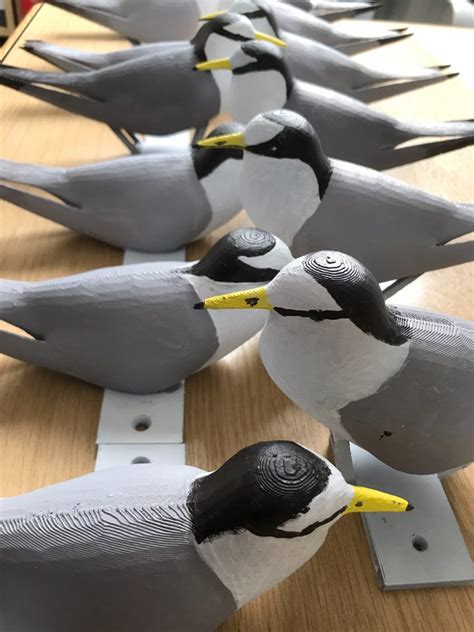 Tern Decoys - Etsy UK