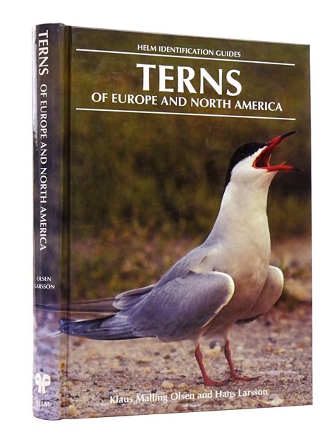 Terns of europe and north america helm identification guides. - The rebirth of the hero mythology as a guide to.