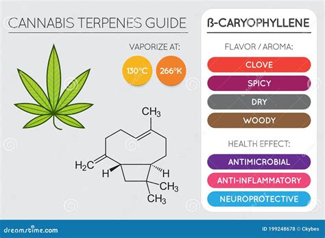 Terpene - CannTest