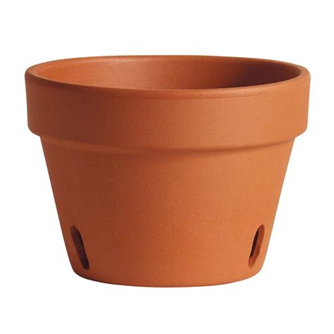 Terra Cotta Orchid Pot - Shop Online Houzz