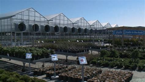 Terra Greenhouses in Waterdown prepares for Easter weekend