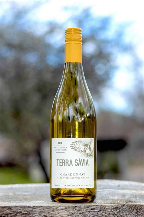 Terra Savia Winery Vacation Rentals: house rentals & more - Vrbo