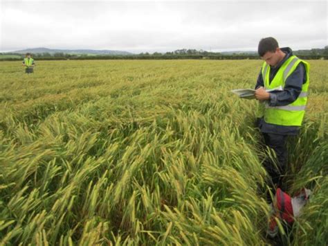 Terra Soil - Geological Survey of Ireland