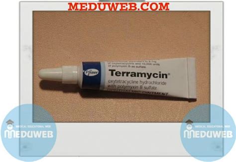 Terramycin eye ointment - Meduweb