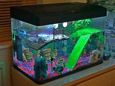 Terrapin tank ideas. But at 13cm (5 inches) long, even a single adult will require a turtle tank with minimum dimensions of 90cm (36 inches) x 15cm (6 inches). Plus, you need to remember that unlike a fish tank, turtle tanks aren’t filled to the brim with water. So, you’ll need a tank capable of holding a greater volume than your turtle needs. 