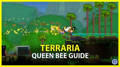 Terraria Where to Find and How to Defeat the Queen Bee