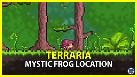 Terraria how to get mystic frog. Sep 30, 2022 · Aptly named Mystic Frog, this critter frolics around but hides more than its small stature suggests. This guide will explain where to find Mystic Frog in Terraria and what you can do when... 
