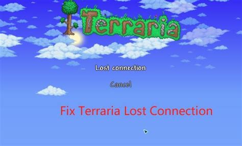 Terraria lost connection modded.  We have reinstalled vanilla terraria...
