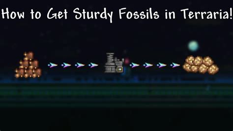 Terraria sturdy fossil. Desert Fossil is a type of block found in the Underground Desert biome in medium to large veins. Desert Fossils can be used with an Extractinator or Chlorophyte Extractinator to produce Sturdy Fossils, along with regular Extractinator drops. Desert Fossil can be mined with a Copper Pickaxe or equivalent/higher mining level, or with explosives . 