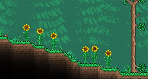 Terraria sunflower. Things To Know About Terraria sunflower. 