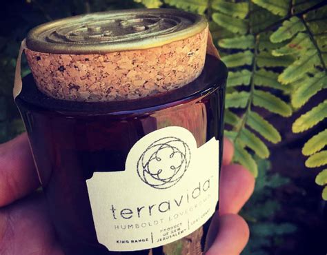 Terravida. We would like to show you a description here but the site won’t allow us. 