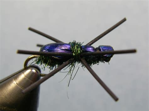 Terrestrial XO Beetle Fly Pattern Current Works Guide Service