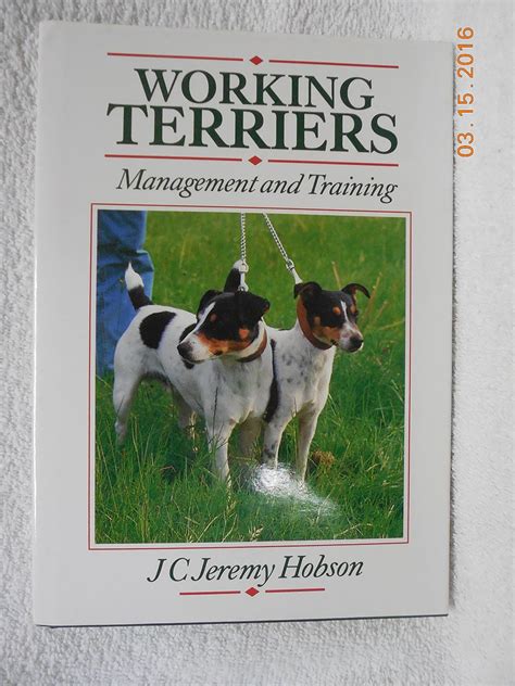 Terrier management. Things To Know About Terrier management. 