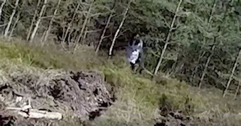 Terrifying drone footage shows ghost of