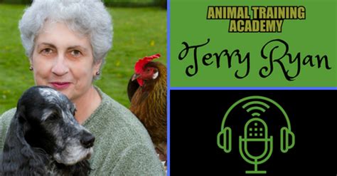 Terry Ryan - Online Dog Training Courses