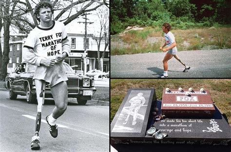 Terry fox