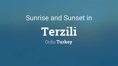 Terzili Halı ve Koltuk Yıkama