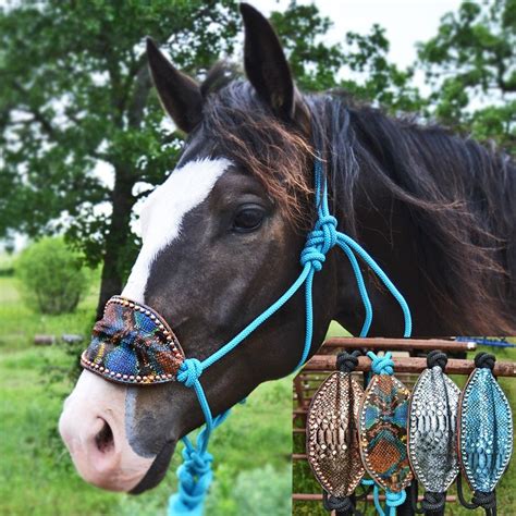 Teskys - * Cow Horse Supply Bridle Rig with Correction Port - Gag * Ship Rope Reins with String Martingale * Includes 3/4" Dark Brown Band Headstall * Mouthpiece: Solid Port with Roller - Gag *ENO