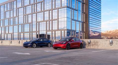 Tesla’s share of US EV market has shrunk despite price cuts