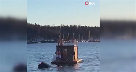 Tesla aracıyla denize düşen 2 kişi yüzer sauna ile kurtarıldı - Son Dakika Haberleri