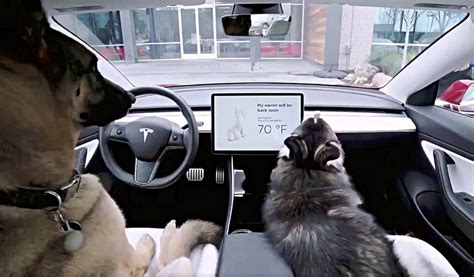Tesla chat. Jan 13, 2020 ... Elon Musk has said that Teslas will “soon” be able to talk to nearby pedestrians. The Tesla CEO shared a short clip of a Model 3 driving ... 