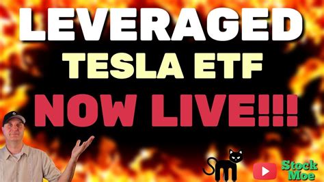 Tesla leveraged etf. In mid-2023, Direxion launched 12 single-stock ETFs, offering leveraged bets on tech companies like Google, Amazon, Tesla, and Nvidia. Rex Shares followed suit with single-stock ETFs for Tesla and ... 