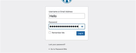 Test Form Fields - Password Bits