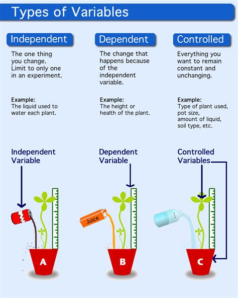 Test Variable Definition Science