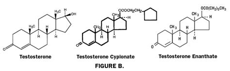 Test c.  These testosterone esters share similarities in their effects and functions yet they...