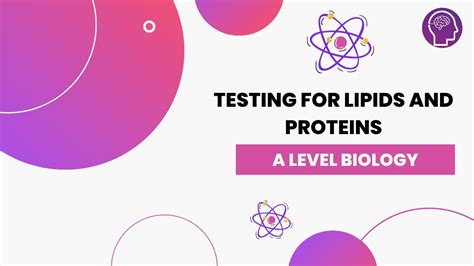 Test for Lipids and Proteins (A-level Biology) - Study Mind