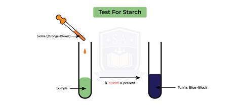 Test for Starch - unacademy.com