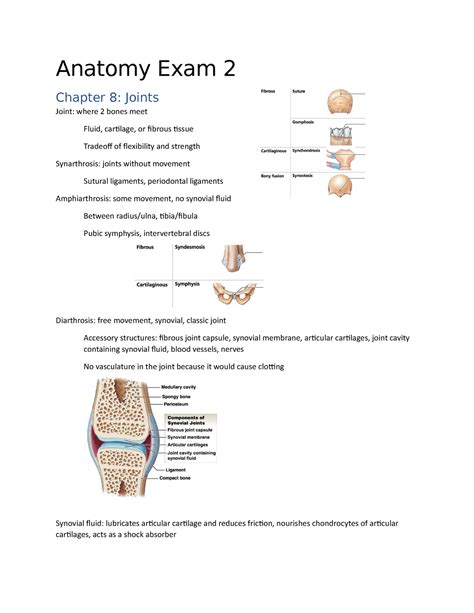Test questions study guide for gross anatomy. - Hyosung comet gt 650 officina moto manuale riparazione manuale servizio manuale download.