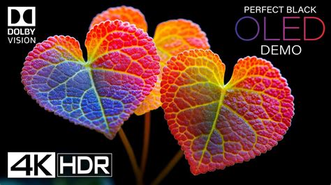 Test videos.  4K & HD clips without watermark.  .  Explore a vast collection o...