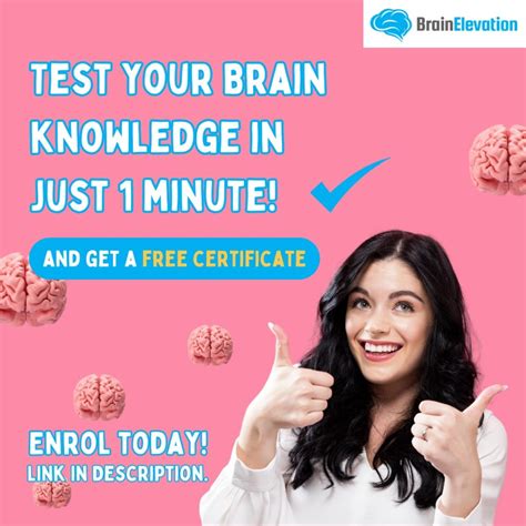 Test your brain show
