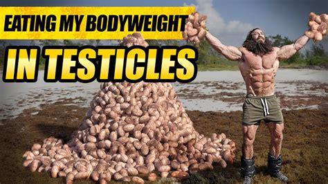 Testicles In Ass Porn Videos