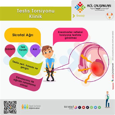 genssuffweb.rgarabwor.edu.pl. 