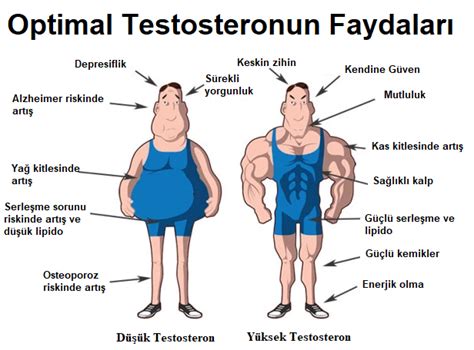 Testosteron arttırma fitness