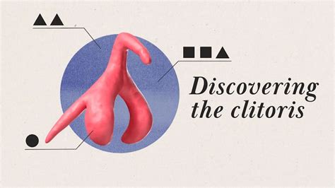 Testosterone nude clit.  This structure eventually becomes a penis or clitoris (a...