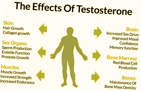 Testosterone pills side effects on males.  Surgeries or injuries that affect...