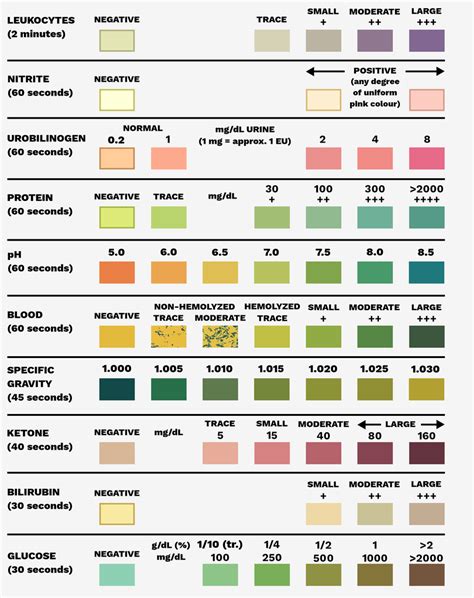 Tests and reading time for dipstick printed on the label. (Source... Download Scientific Diagram