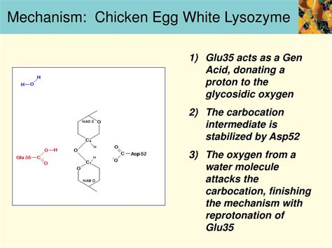 Tetragonal Chicken Egg White Lysozyme Solubility in Sodium …