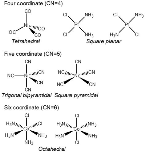 Tetrahedral coordination number.  Complexes exhibit predictable geometries: linear f...