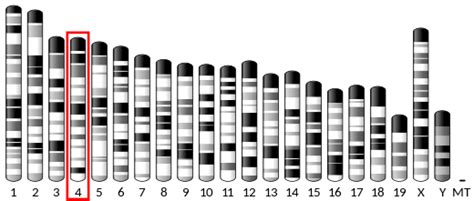 Tetratricopeptide repeat 39A - Wikipedia