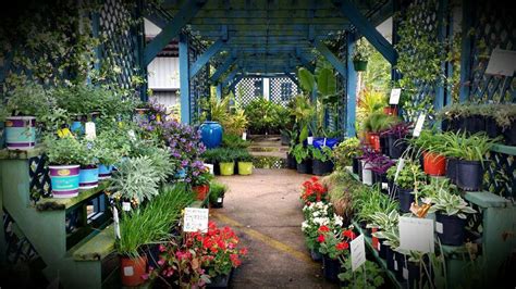 Texas Best Nursery Nederland TX - Facebook